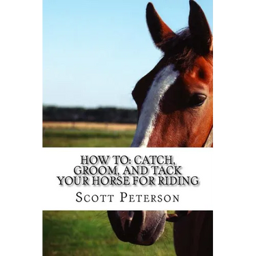 How to: Catch, Groom, and Tack Your Horse for Riding