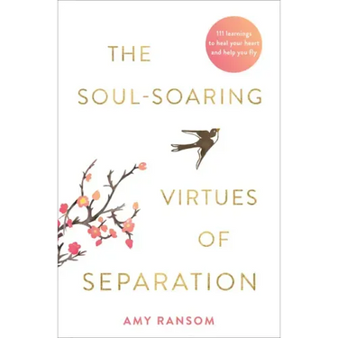 The Soul-Soaring Virtues of Separation: 111 Learnings to Heal Your Heart and Help You Fly