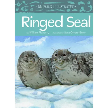 Animals Illustrated: Ringed Seal