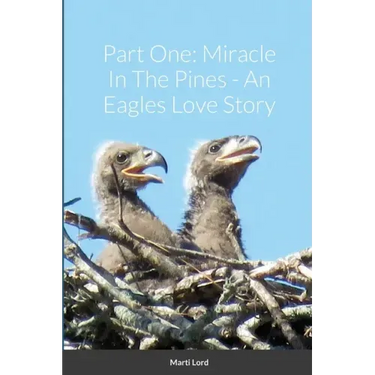 Part One: Miracle In The Pines - An Eagles Love Story