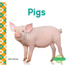 Pigs