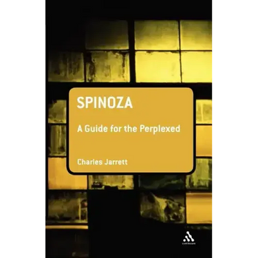 Spinoza: A Guide for the Perplexed