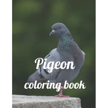 Pigeon coloring book: A Coloring Book of 35 Unique Stress Relief pigeon Coloring Book Designs Paperback