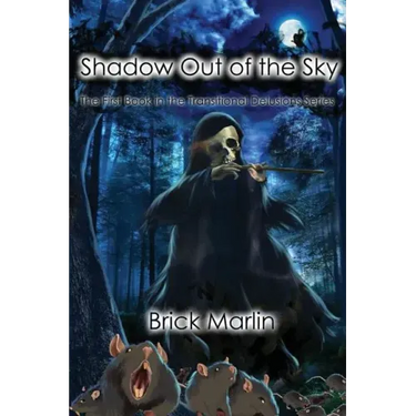 Shadow Out of the Sky