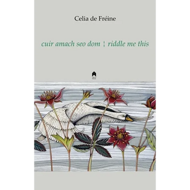 Cuir Amach Seo Dom / Riddle Me This