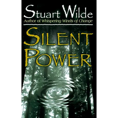 Silent Power