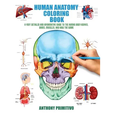 Human Anatomy Coloring Book: A Very Detailed and Informative Guide to the Human Body: Nerves, Bones, Muscles, and How to the Work