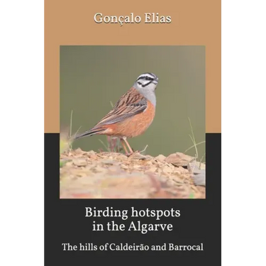 Birding hotspots in the Algarve: The hills of Caldeirão and Barrocal