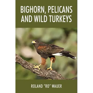 Bighorn, Pelicans and Wild Turkeys