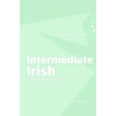 Intermediate Irish: A Grammar and Workbook