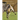 Backsides: Farm Animals