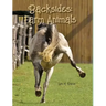 Backsides: Farm Animals