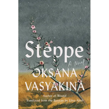Steppe