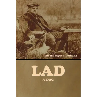Lad: A Dog