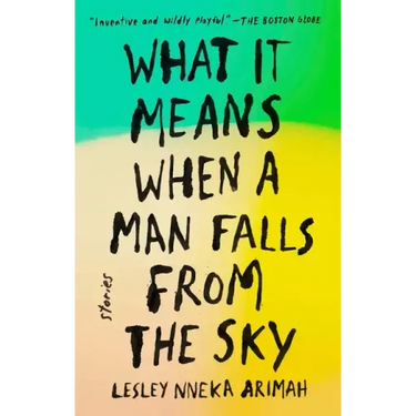 What It Means When a Man Falls from the Sky: Stories