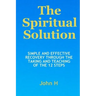 The Spiritual Solution - Simple And Effective Recovery Through The Taking And Teaching Of The 12 Steps