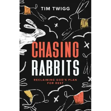 Chasing Rabbits: Reclaiming God's Plan For Rest
