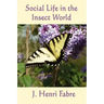 Social Life in the Insect World