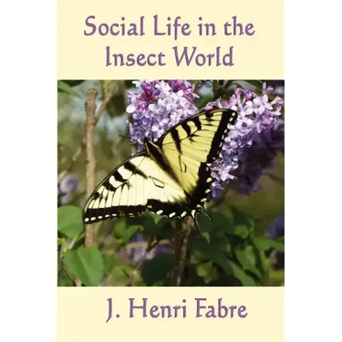 Social Life in the Insect World