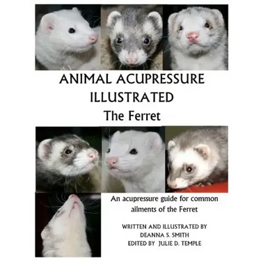 Animal Acupressure Illustrated The Ferret