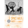 Space Walk