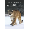 The Picture Book of Wildlife: A Gift Book for Alzheimer's Patients and Seniors with Dementia