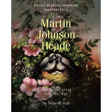 Dusky Seaside Sparrow Masterpiece Places Martin Johnson Heade Amongst Greatest Naturalists