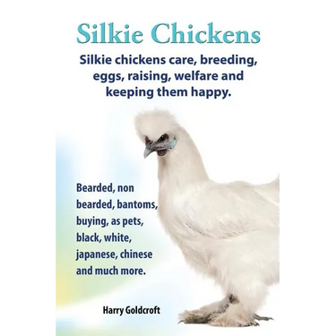 . Silkie Chickens. Silkie Chickens Care, Breeding, Eggs, Raising, Welfare and Keeping Them Happy, Bearded, Non Bearded, Bantoms, Buying, as Pets, Blac