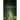 Glimpse