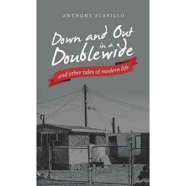 Down and out in a Doublewide and Other Tales of Modern Life