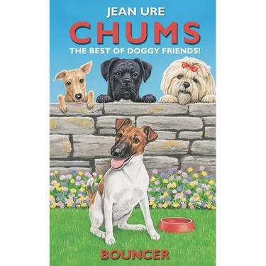 Bouncer