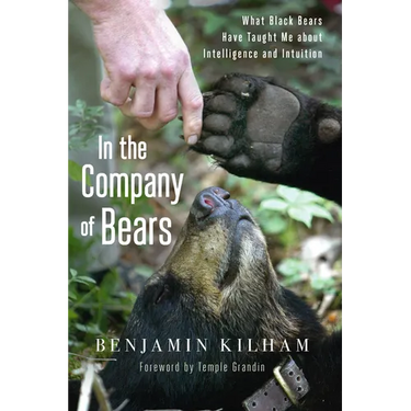 In the Company of Bears: What Black Bears Have Taught Me about Intelligence and Intuition