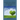 The Heart-Centered Habit: Perceiving Through the Heart of the Matter