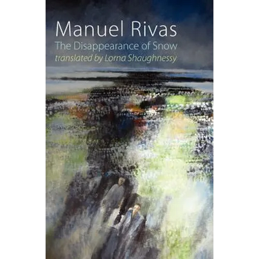 The Disappearance of Snow