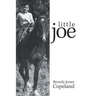 Little Joe