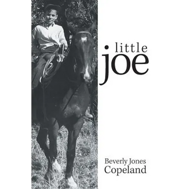 Little Joe