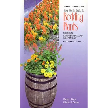 Your Florida Guide to Bedding Plants: Selection, Establishment, and Maintenance