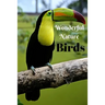 Wonderful Nature Birds: Picture book gift for seniors with Dementia or patients with Alzheimer's. 40 full color photographs of birds, with nam
