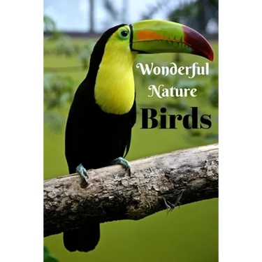 Wonderful Nature Birds: Picture book gift for seniors with Dementia or patients with Alzheimer's. 40 full color photographs of birds, with nam