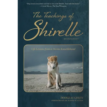 The Teachings of Shirelle: Life Lessons from a Divine Knucklehead