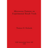 Microwear Patterns on Experimental Basalt Tools