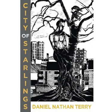 City of Starlings