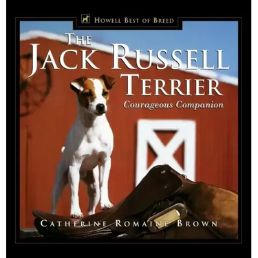 The Jack Russell Terrier: Courageous Companion