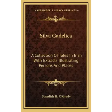Silva Gadelica: A Collection of Tales in Irish with Extracts Illustrating Persons and Places