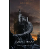 A Quest of Heroes: Book #1 in the Sorcerer's Ring