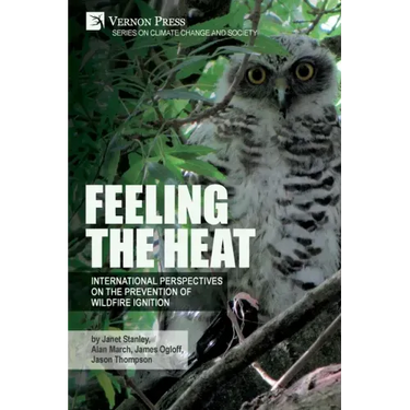 Feeling the heat: International perspectives on the prevention of wildfire ignition