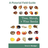 Tree, Shrub, and Vine Seeds: A Pictorial Field Guide