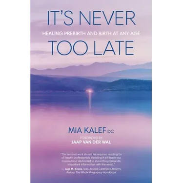 It's Never Too Late: Healing Prebirth And Birth At Any Age