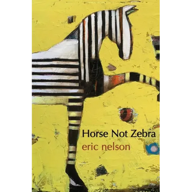 Horse Not Zebra