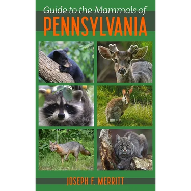 Guide to the Mammals of Pennsylvania